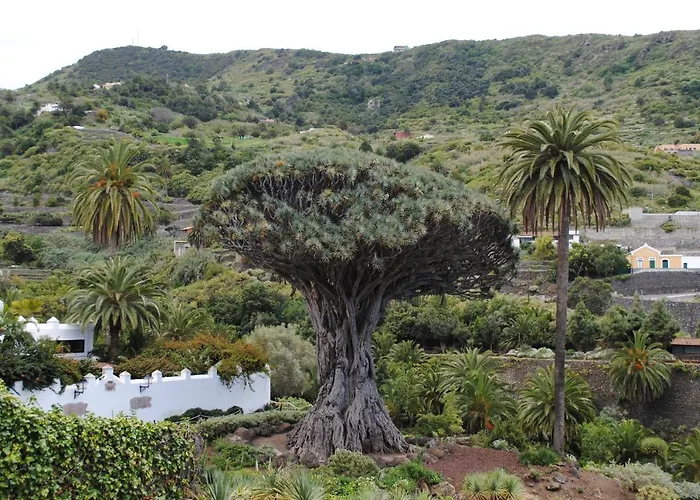 Cristi Puerto Santiago شقة بويرتو دي سانتياغو